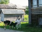 Большая Сельга